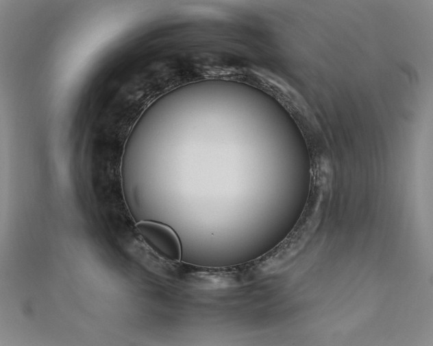 X0000112490763200908171247