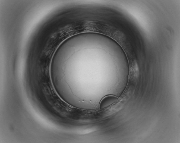 X0000112490765200908171247