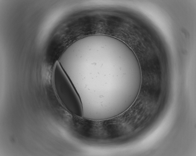X0000112490766200908171247