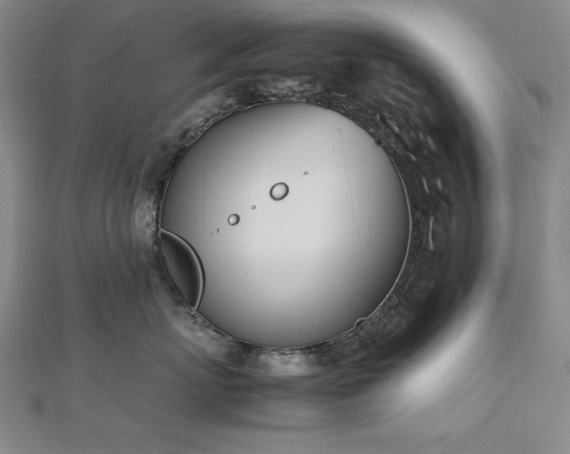 X0000112490767200908171247