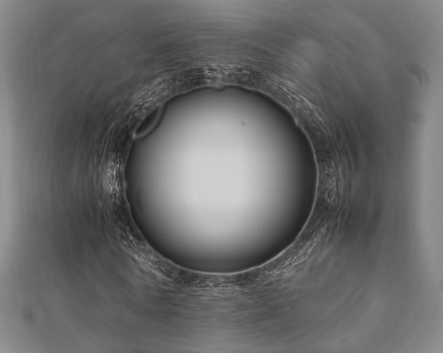 X0000112490770200908171246