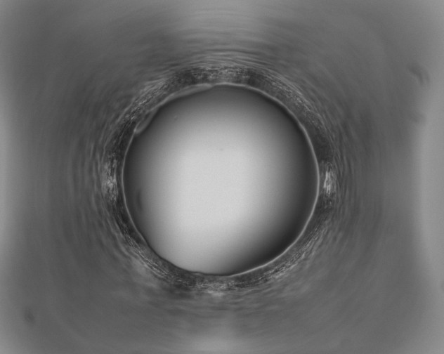 X0000112490771200908171246