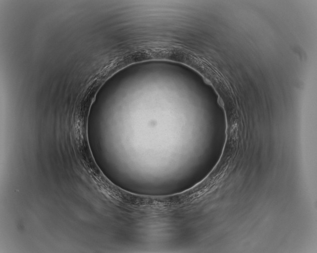 X0000112490772200908171246