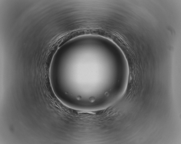 X0000112490773200908171246