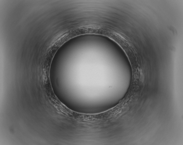 X0000112490774200908171246
