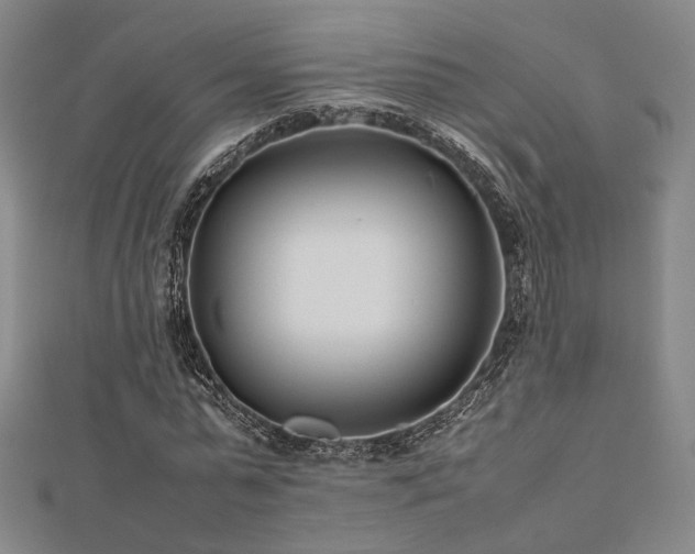 X0000112490775200908171246