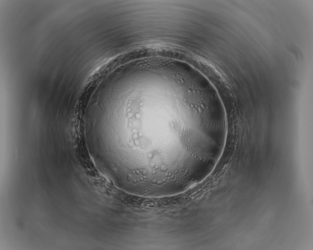 X0000112490776200908171246