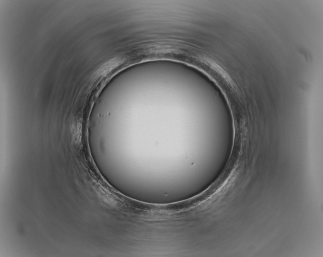 X0000112490777200908171246