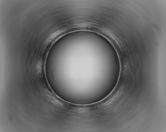 X0000112490778200908171246