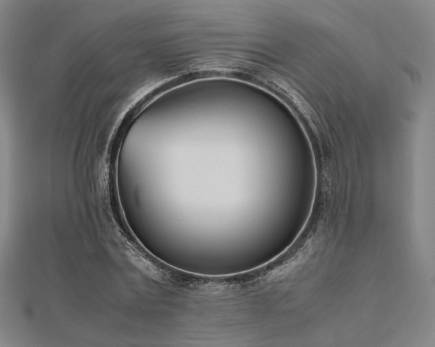 X0000112490779200908171246