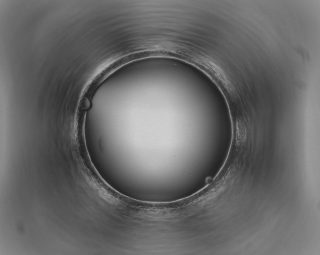 X0000112490780200908171246