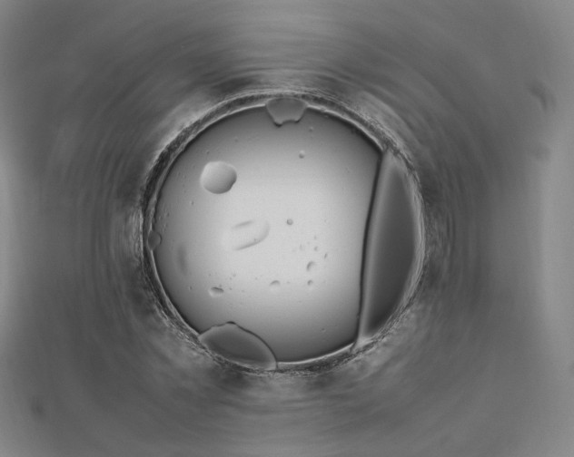 X0000112490781200908171246