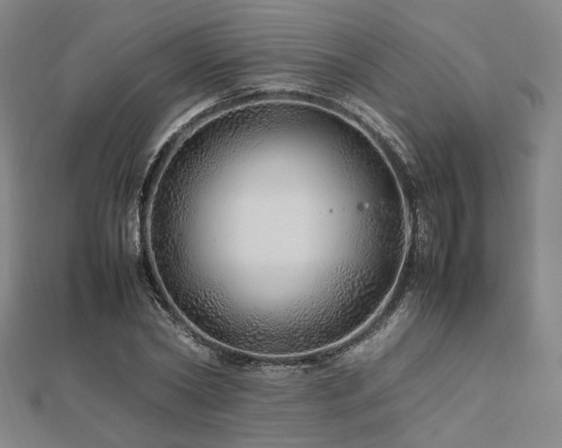 X0000112490782200908171246
