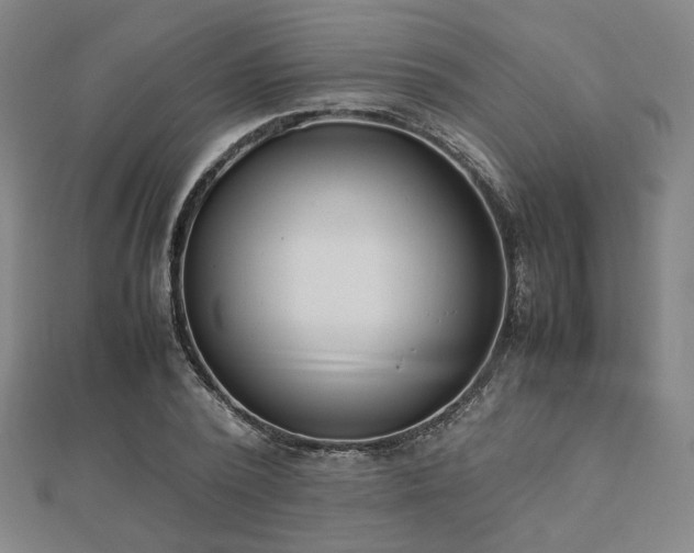 X0000112490784200908171246