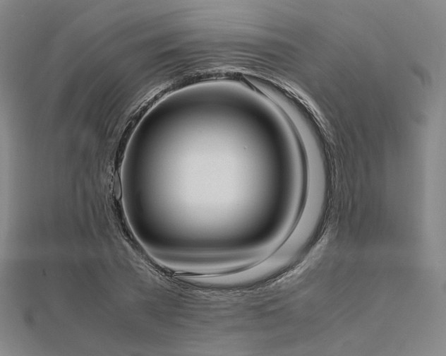 X0000112490785200908171246
