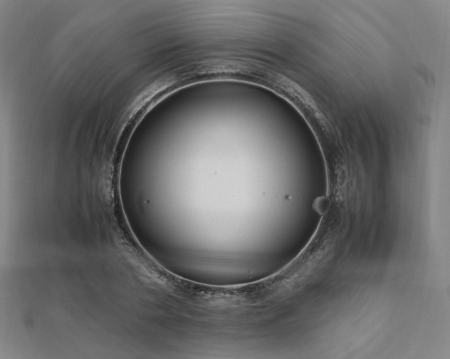 X0000112490786200908171246