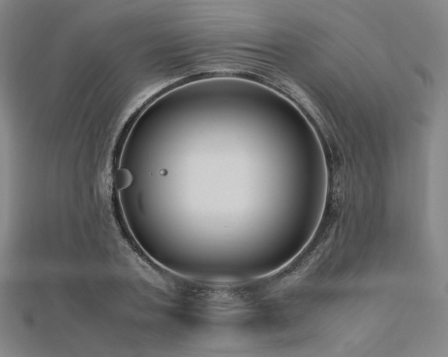 X0000112490787200908171246