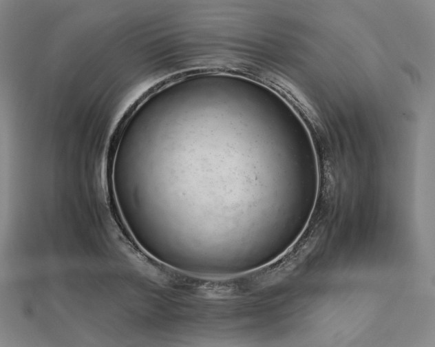 X0000112490788200908171246