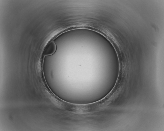 X0000112490789200908171246