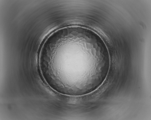 X0000112490790200908171246