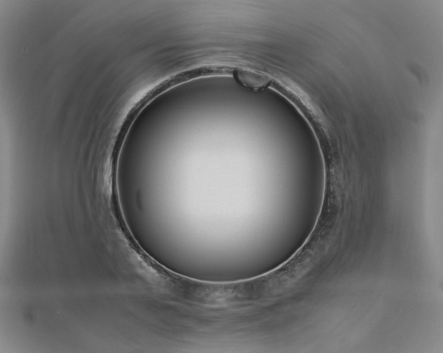 X0000112490791200908171246