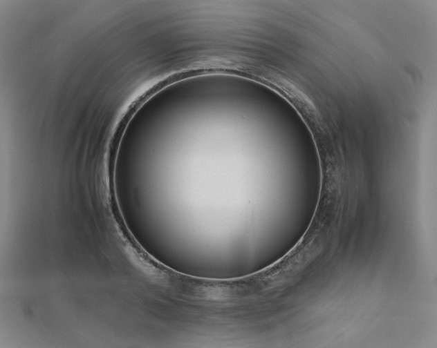 X0000112490792200908171246