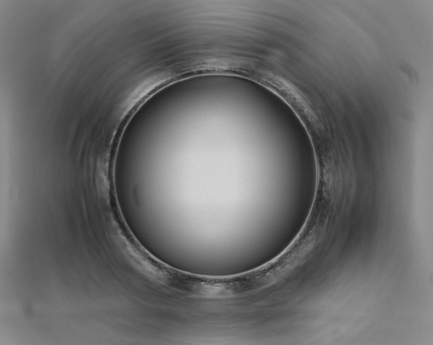 X0000112490794200908171246