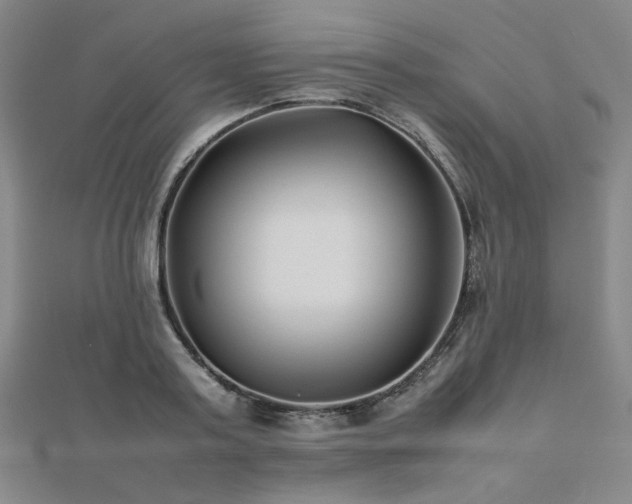 X0000112490795200908171246
