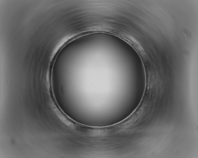 X0000112490796200908171246