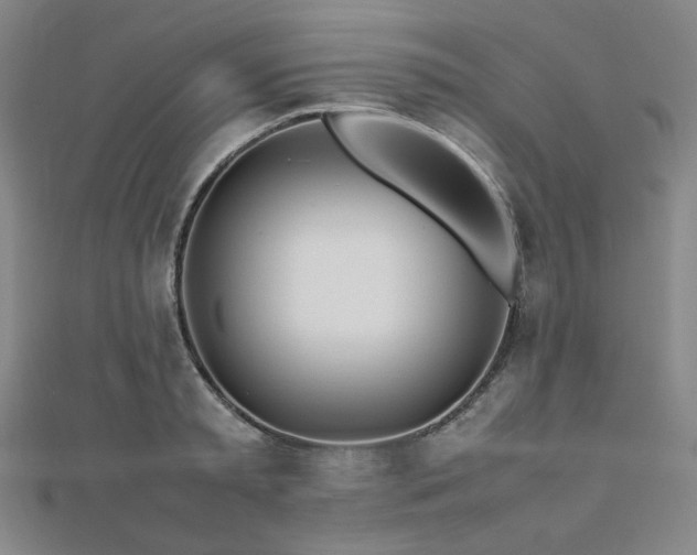 X0000112490797200908171246