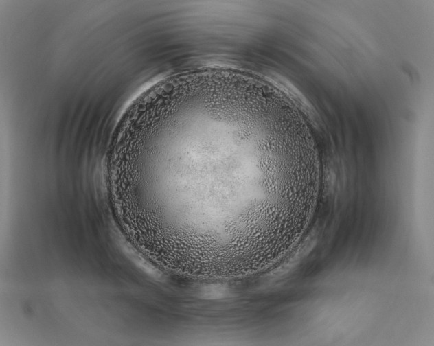 X0000112490798200908171246