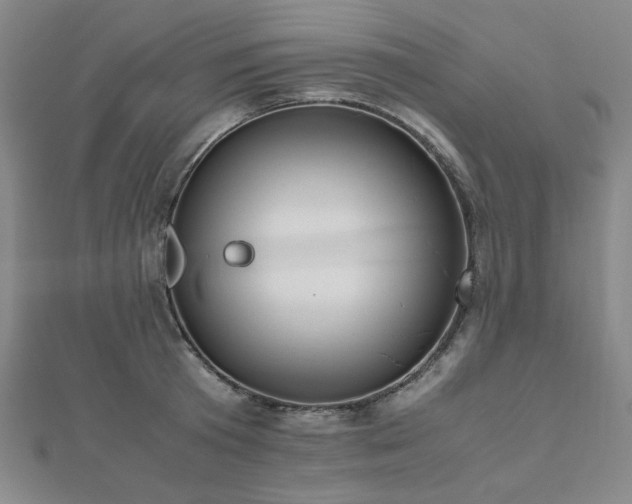 X0000112490801200908171246