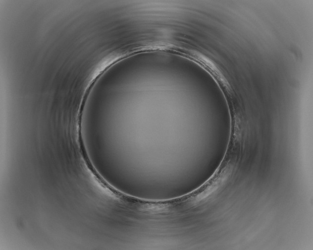 X0000112490802200908171246