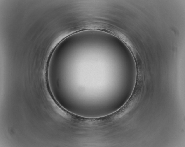 X0000112490803200908171246