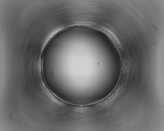 X0000112490804200908171246