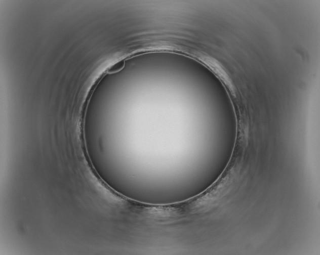 X0000112490805200908171246