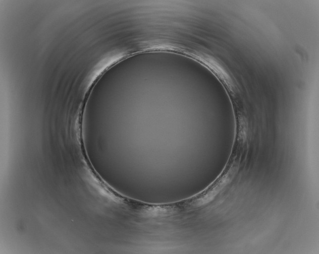 X0000112490806200908171246