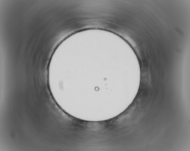 X0000112490807200908171246