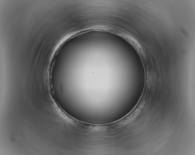 X0000112490808200908171246