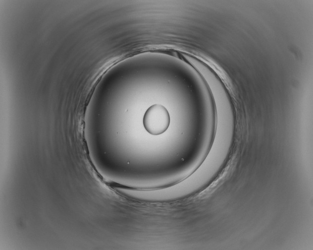 X0000112490809200908171246