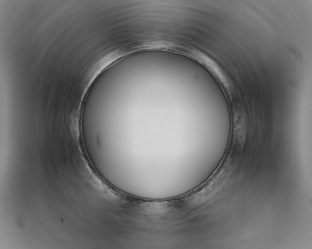 X0000112490810200908171246