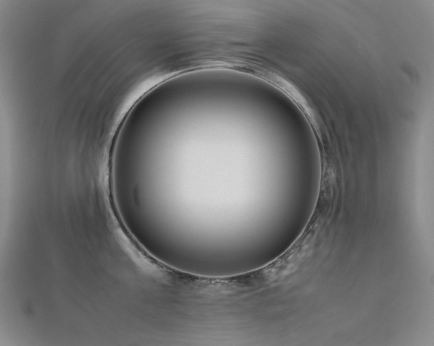 X0000112490811200908171246