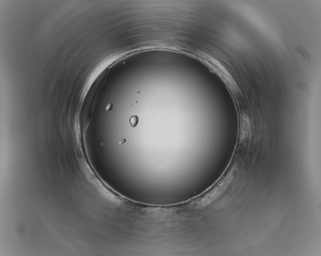 X0000112490812200908171246
