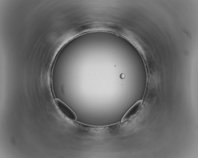 X0000112490813200908171246