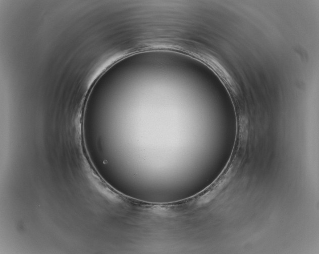 X0000112490814200908171246