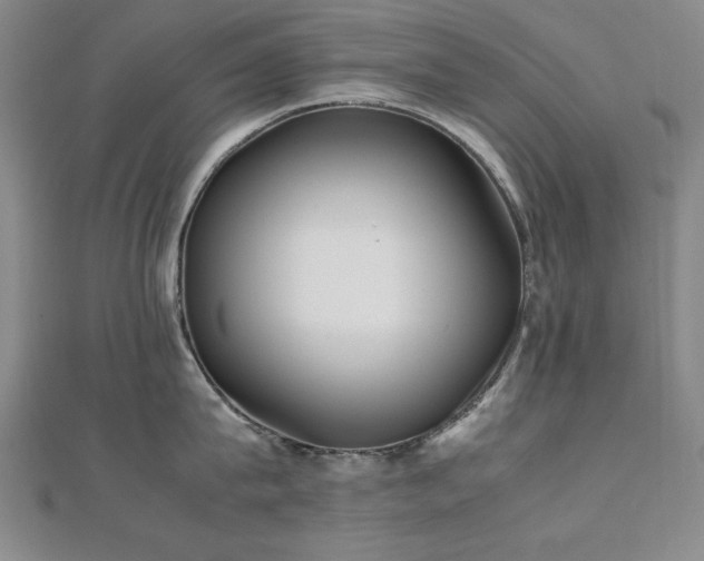 X0000112490815200908171246
