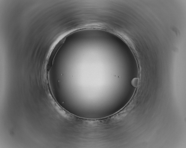 X0000112490816200908171246