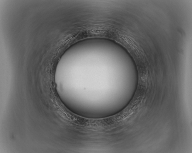 X0000112490817200908171245