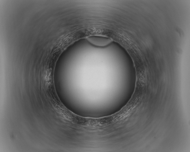 X0000112490818200908171245