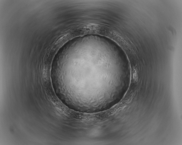 X0000112490819200908171245